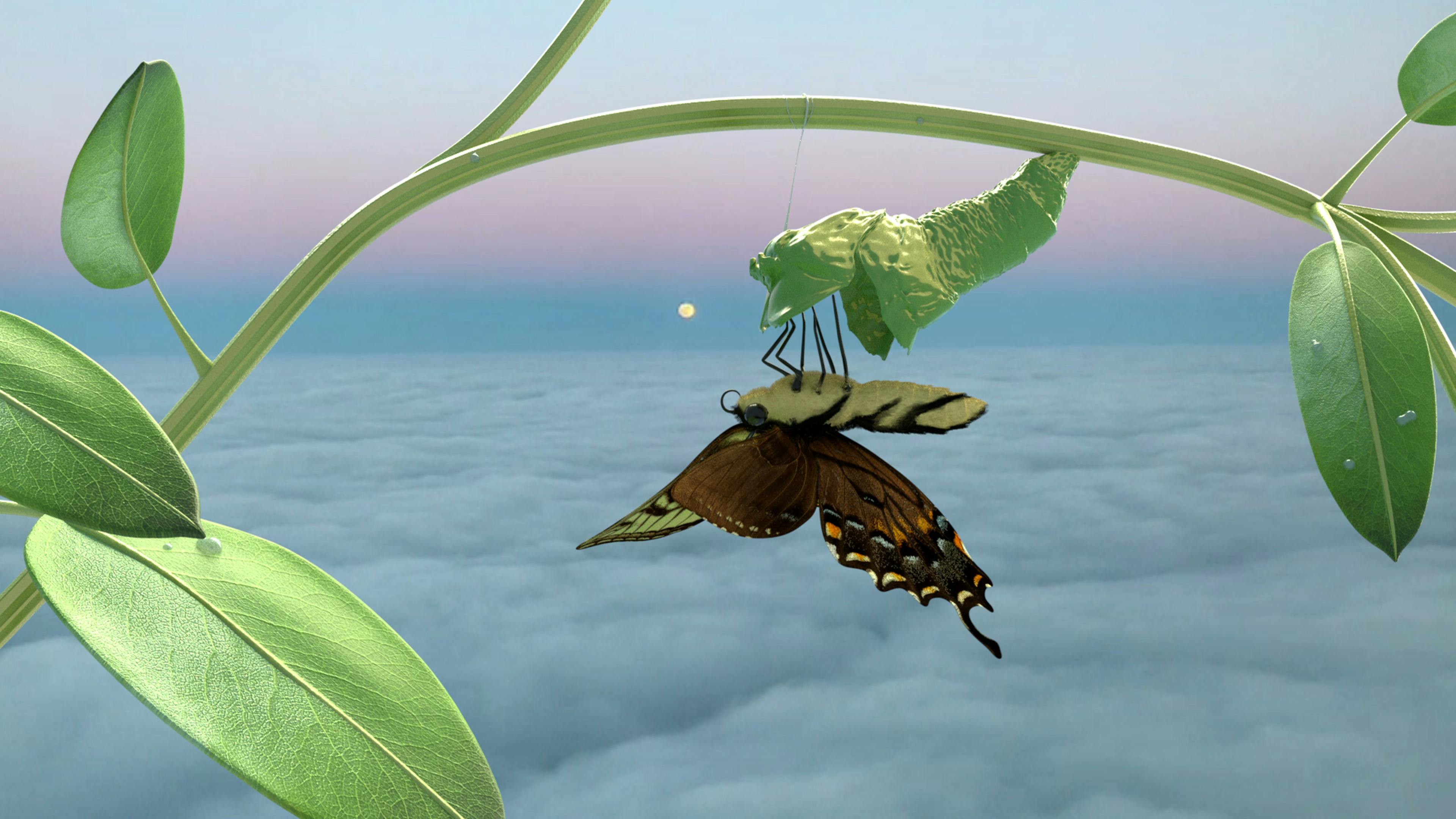 A digital rendering of a butterfly, upside down and emerging from its cocoon on a green vine, in front of an expanse of cloud-covered sky at dusk.
